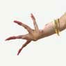 Hand of Anna Kuppuswamy. Photograph by Steve Osborn